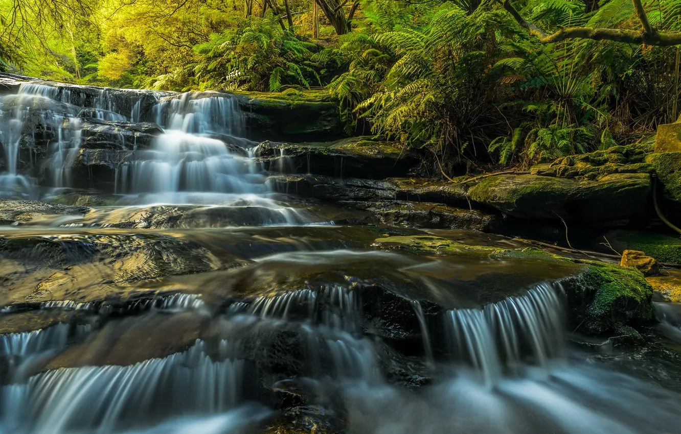Photo wallpaper Australia, waterfalls, sunlight, long exposure, Blue Mountains, Leura Cascades