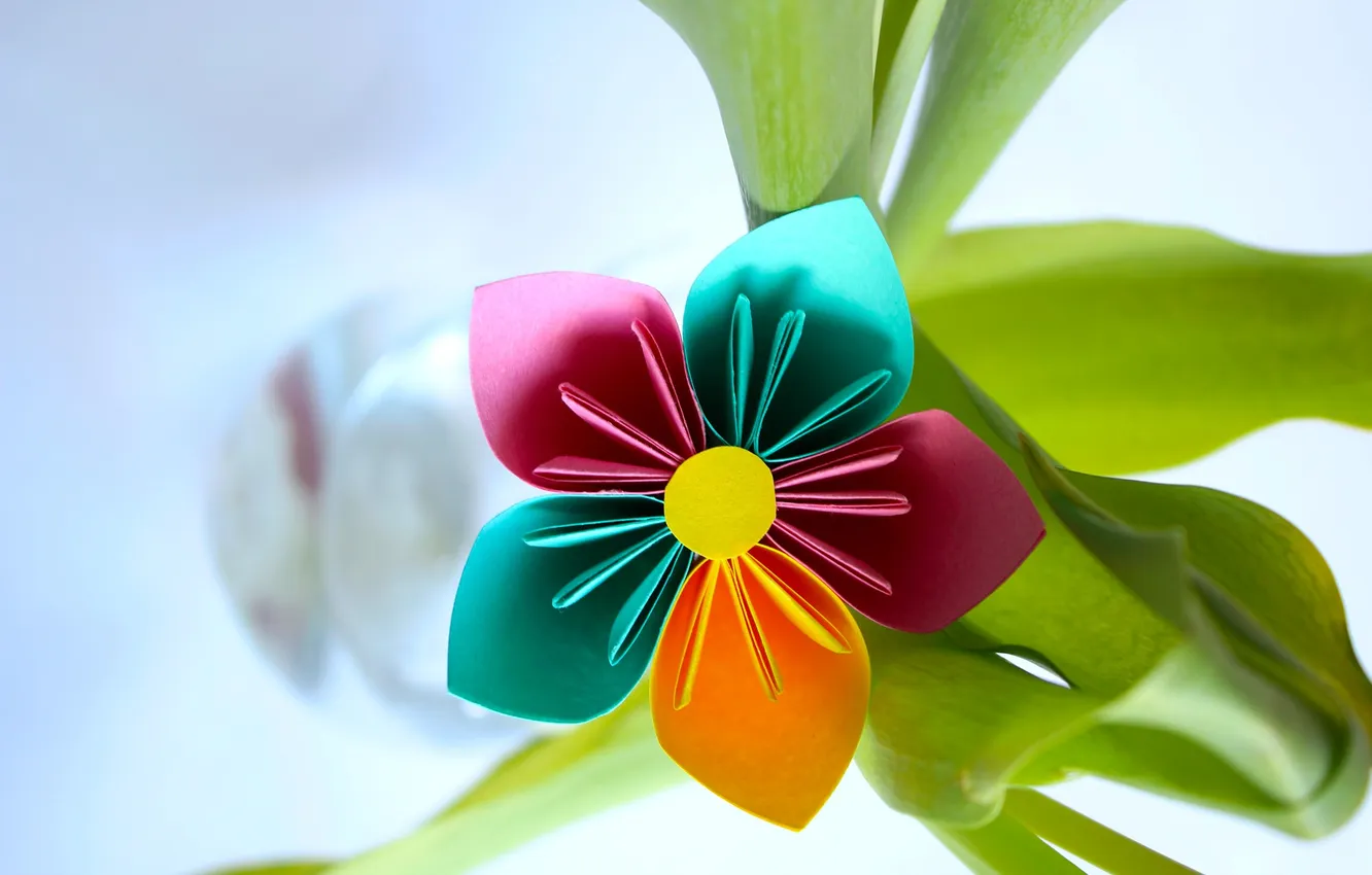 Photo wallpaper leaves, flowers, paper, collage