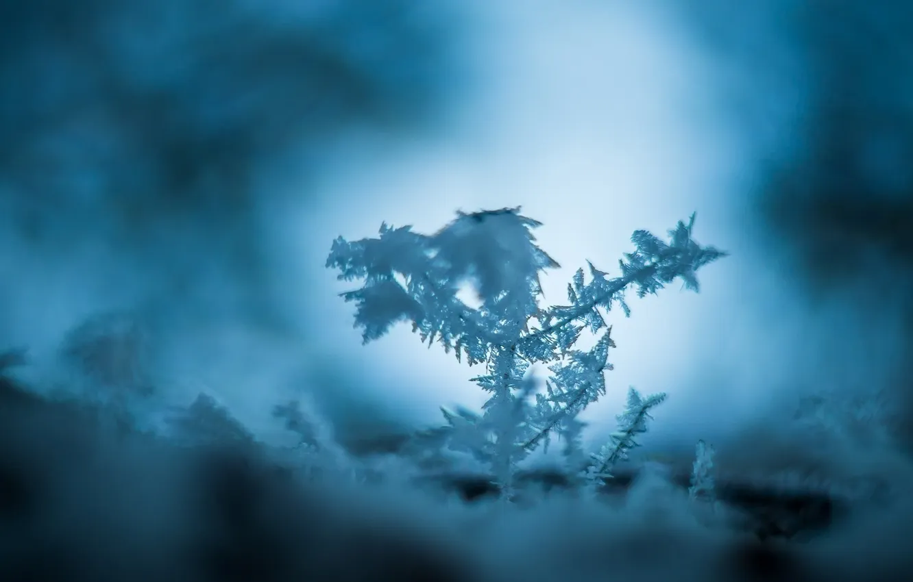Photo wallpaper cold, ice, winter, macro, snow, blue