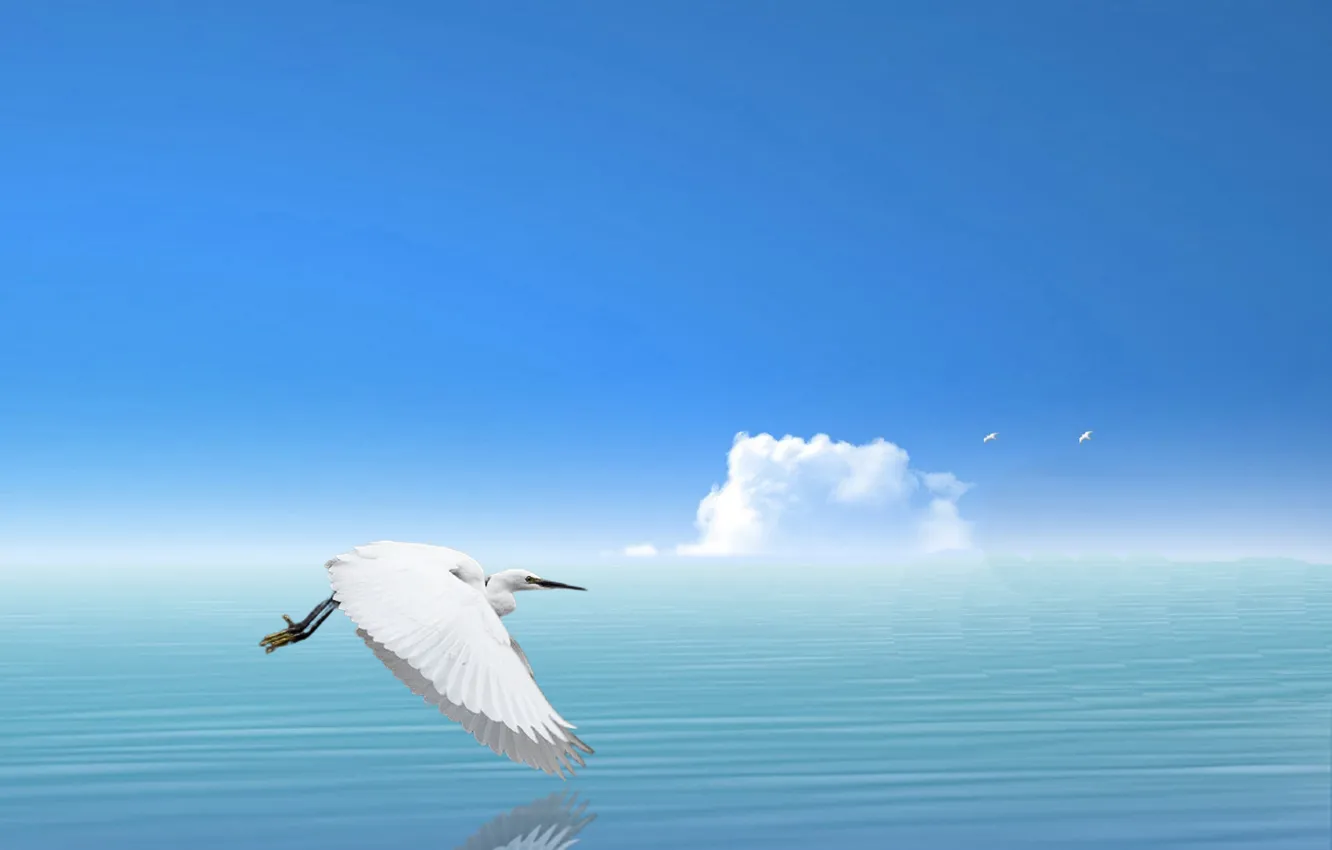 Photo wallpaper beach, sky, clouds, Brid