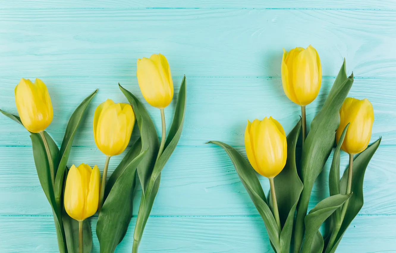 Photo wallpaper flowers, yellow, tulips, fresh, yellow, wood, flowers, beautiful