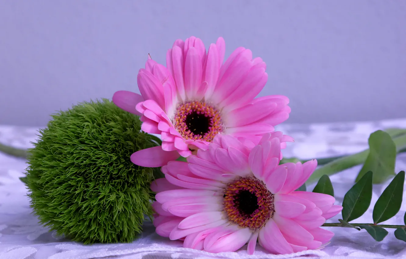Photo wallpaper flowers, balls, gerbera