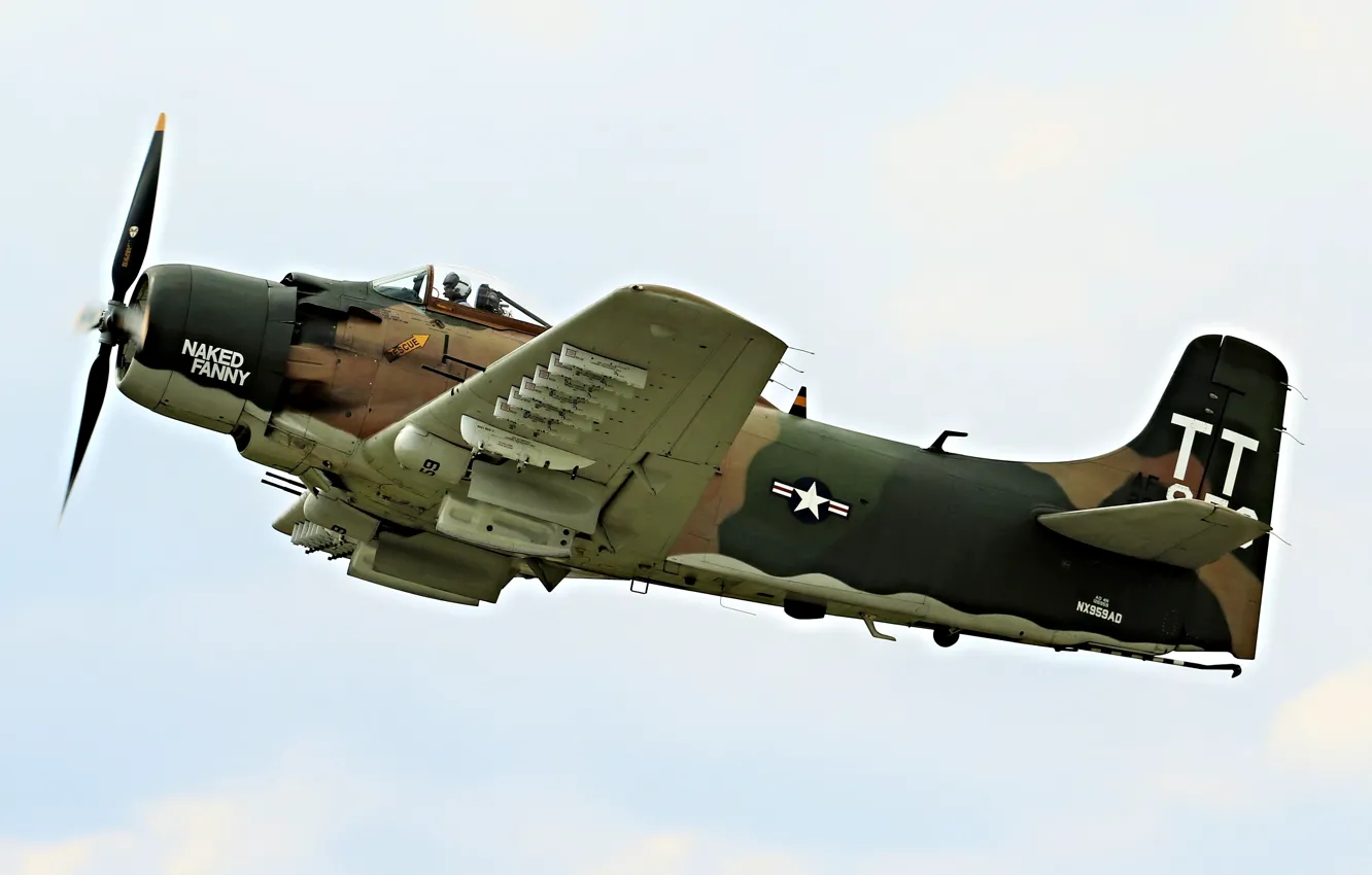 Photo wallpaper flight, Grumman, deck, torpedo, Avenger