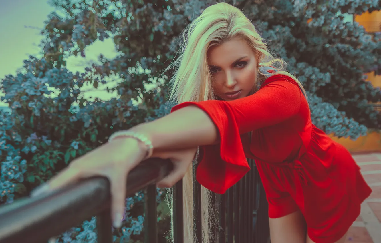 Photo wallpaper sponge, curls, Montse Roura