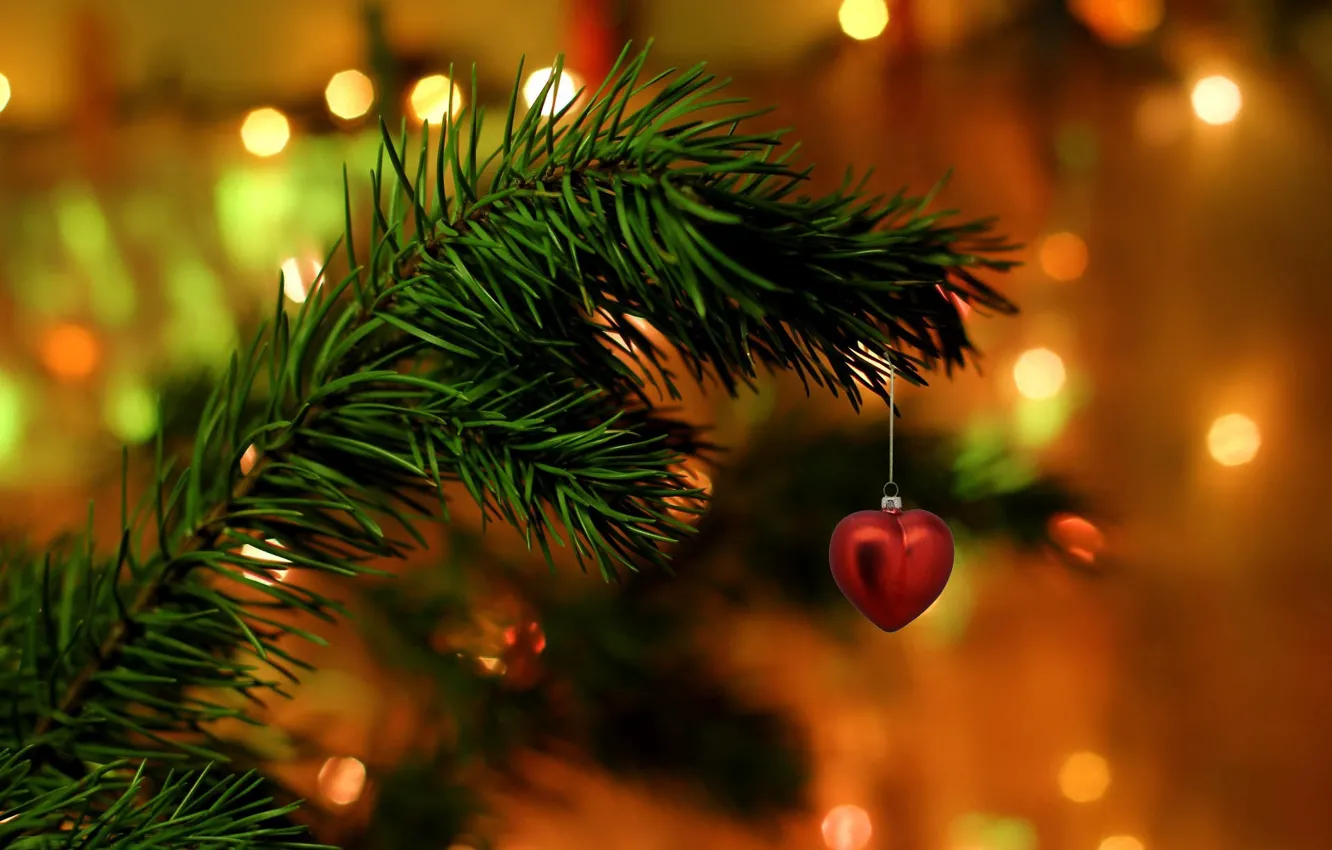 Photo wallpaper needles, holiday, heart, tree, branch, decoration