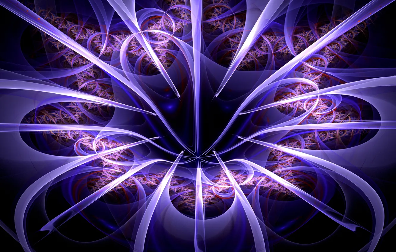 Photo wallpaper light, line, flowers, petals, the volume