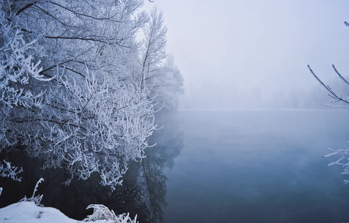 Photo wallpaper winter, snow, trees, fog, lake, frost, Winter, trees