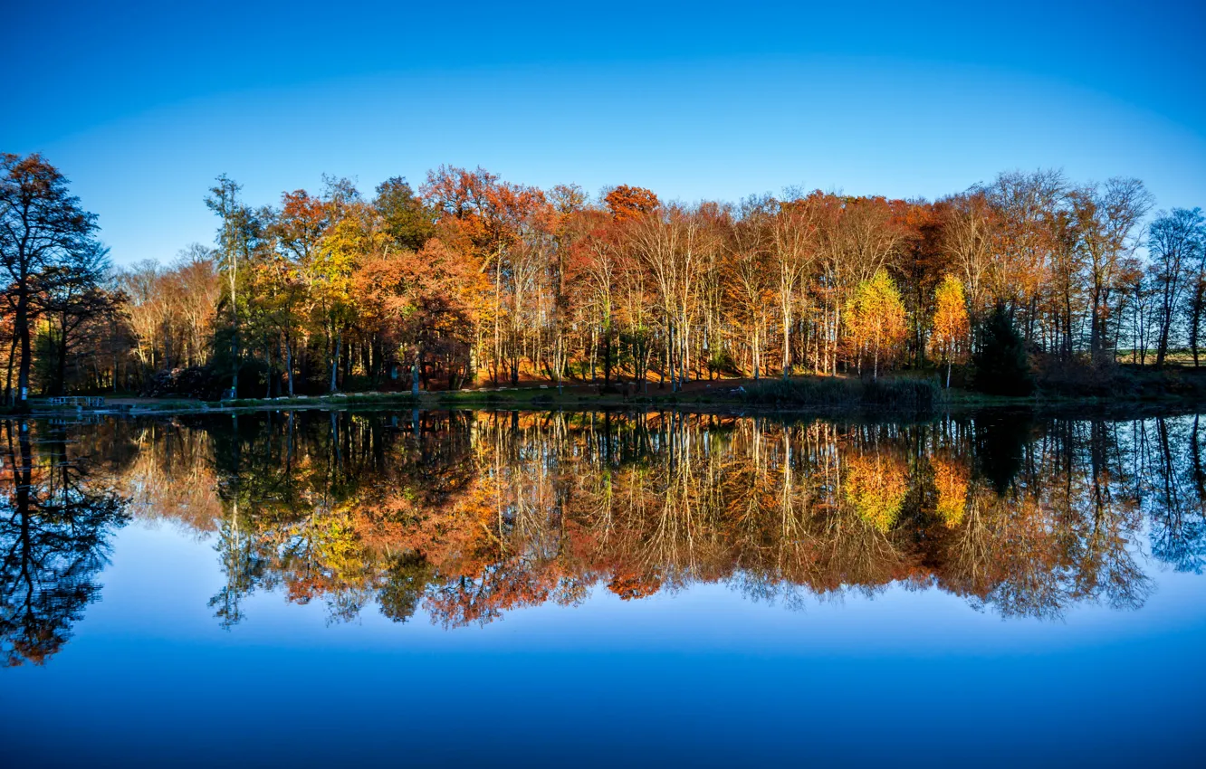 Photo wallpaper lake, mirror, woodland