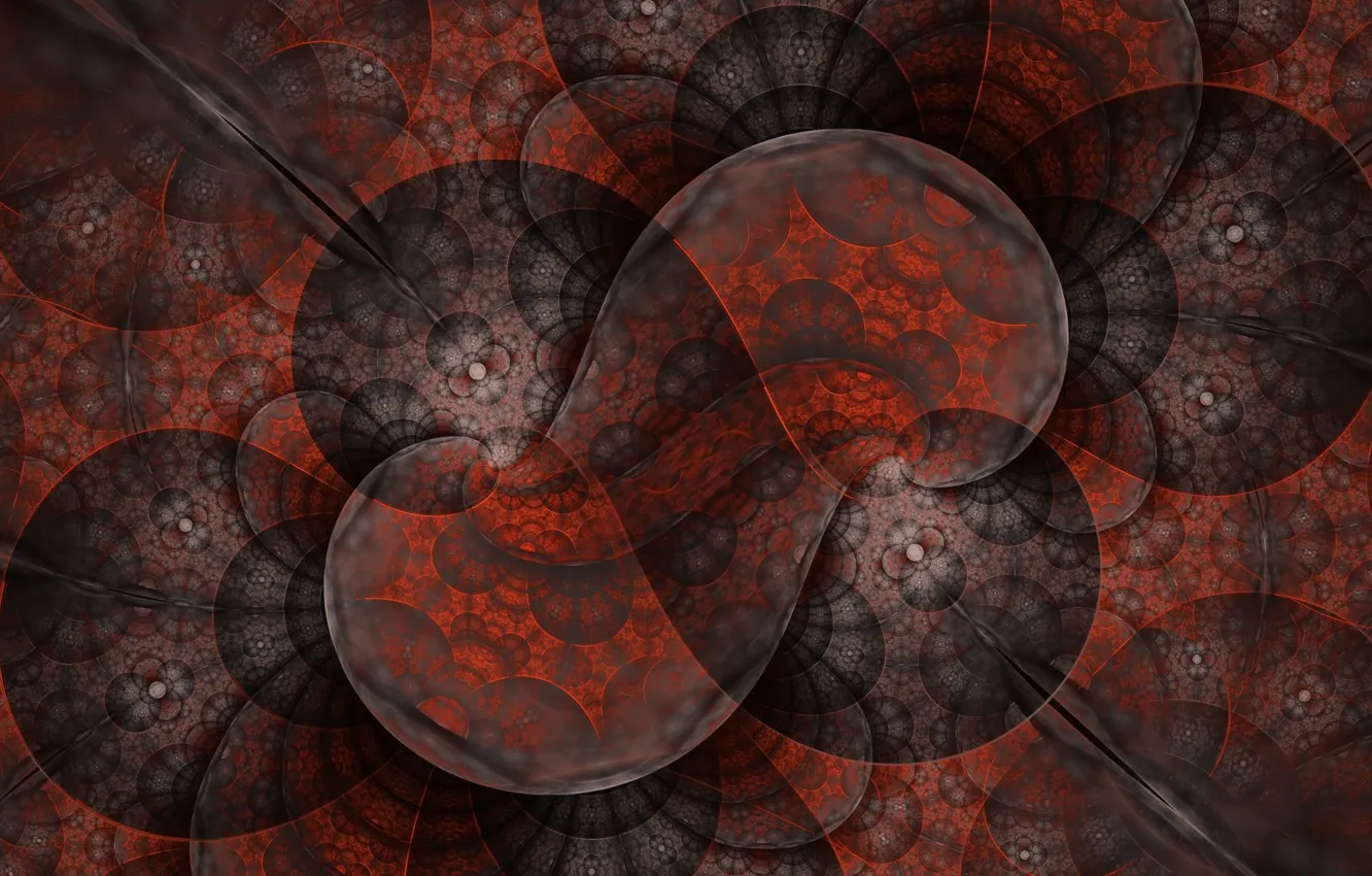 Photo wallpaper abstraction, pattern, curls