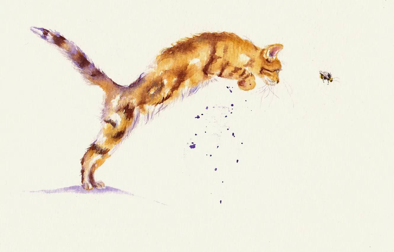 Photo wallpaper cat, cat, the game, watercolor, hunting, bee