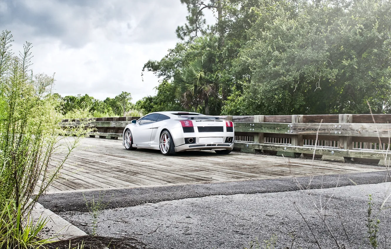 Photo wallpaper greens, the sky, trees, bridge, tuning, Lamborghini, silver, Gallardo