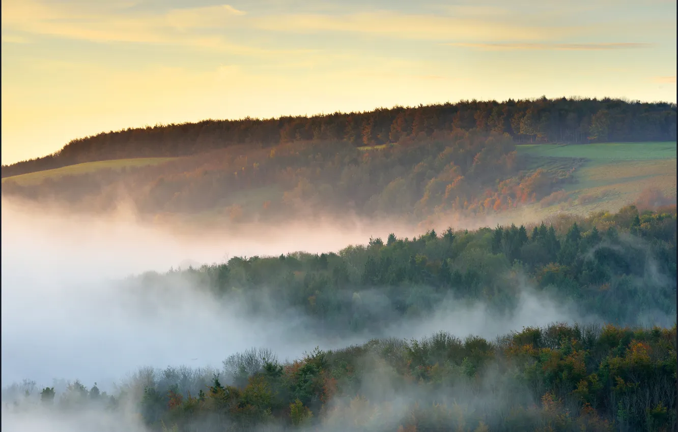 Photo wallpaper autumn, forest, fog, hills, the evening