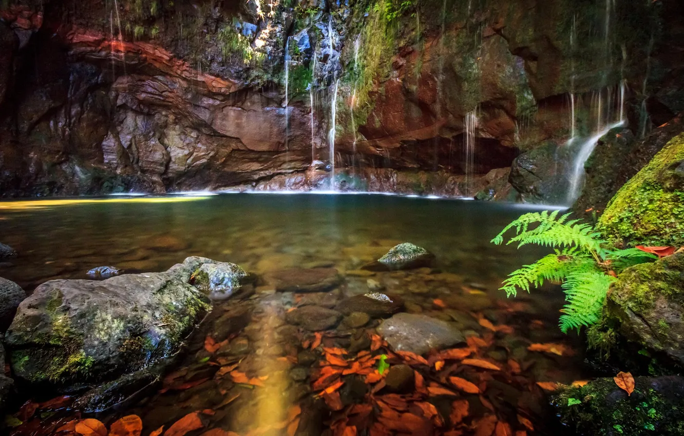 Photo wallpaper forest, river, stream, rocks, waterfall