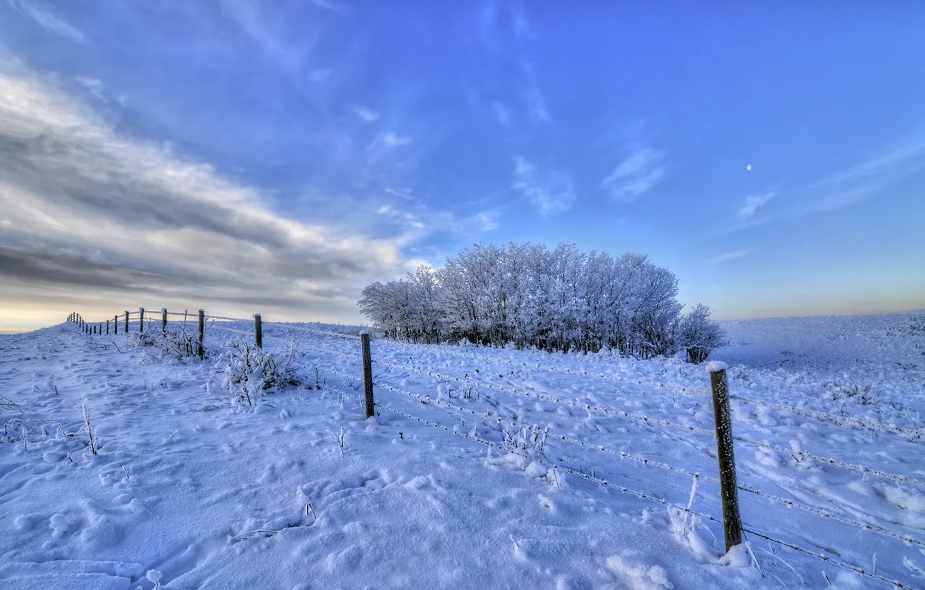 Photo wallpaper winter, snow, the fence
