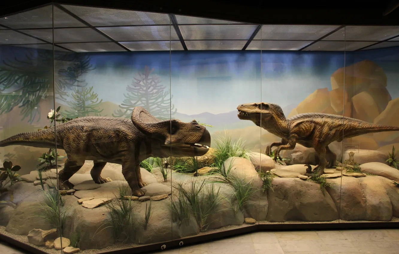 Photo wallpaper animal, dinosaur, predator, Moscow, Ancient animals, Extinct animals, Prehistoric, The State Darwin Museum