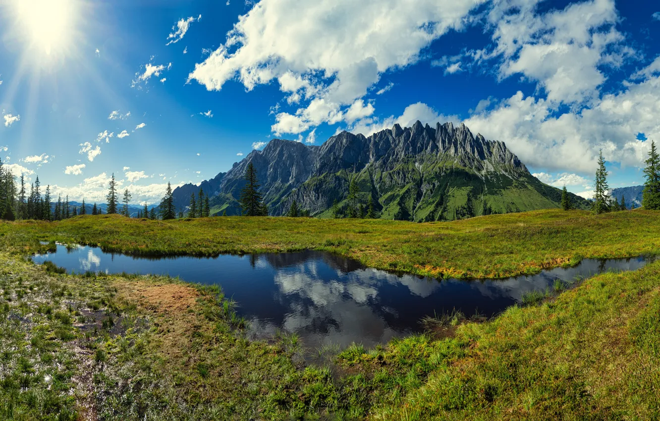 Photo wallpaper greens, forest, the sky, the sun, clouds, rays, light, mountains