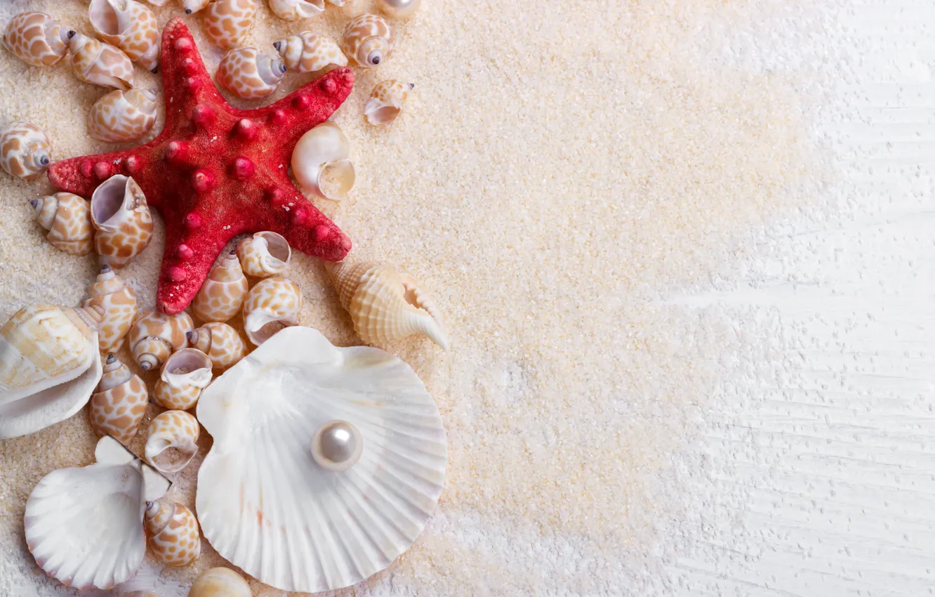 Photo wallpaper sand, stars, shell, wood, sand, marine, still life, pearl