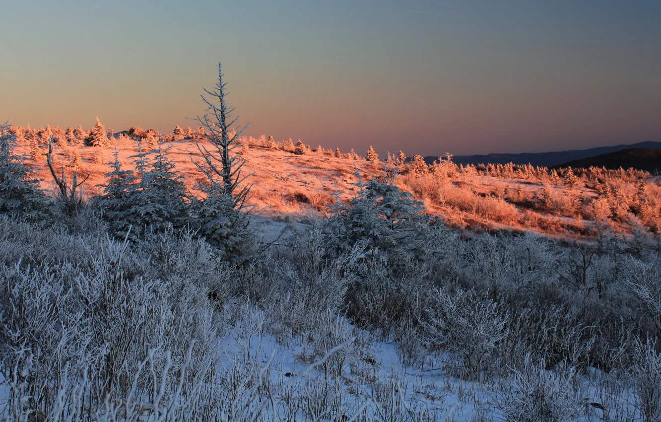 Photo wallpaper winter, snow, mountains, nature, sunlight, contrasts with reflected pink sunlight on the mountain ridge, blue-white