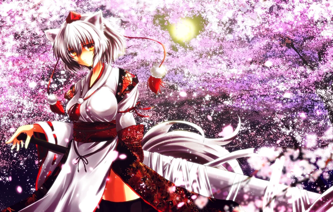 Photo wallpaper look, girl, trees, weapons, sword, Sakura, the full moon, wolf