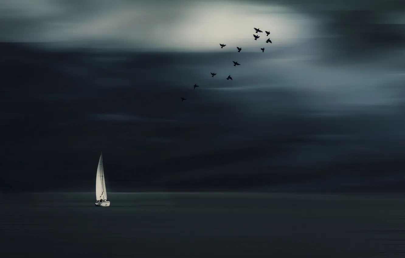 Photo wallpaper sea, birds, night, boat