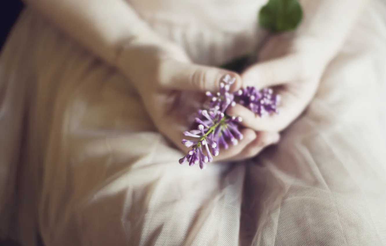 Photo wallpaper flowers, hands, lilac