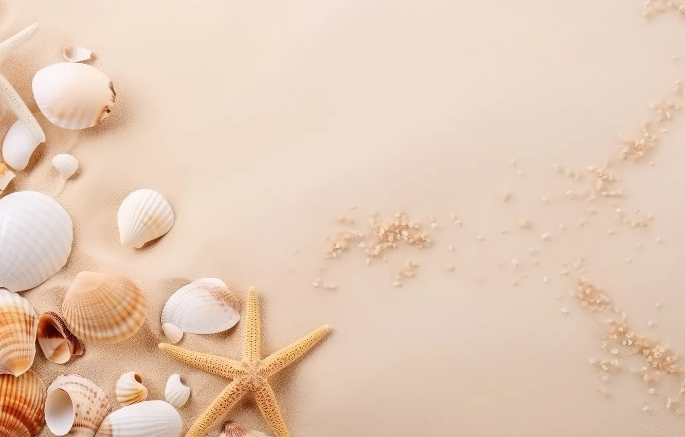Photo wallpaper sand, beach, background, shell, beach, texture, background, sand