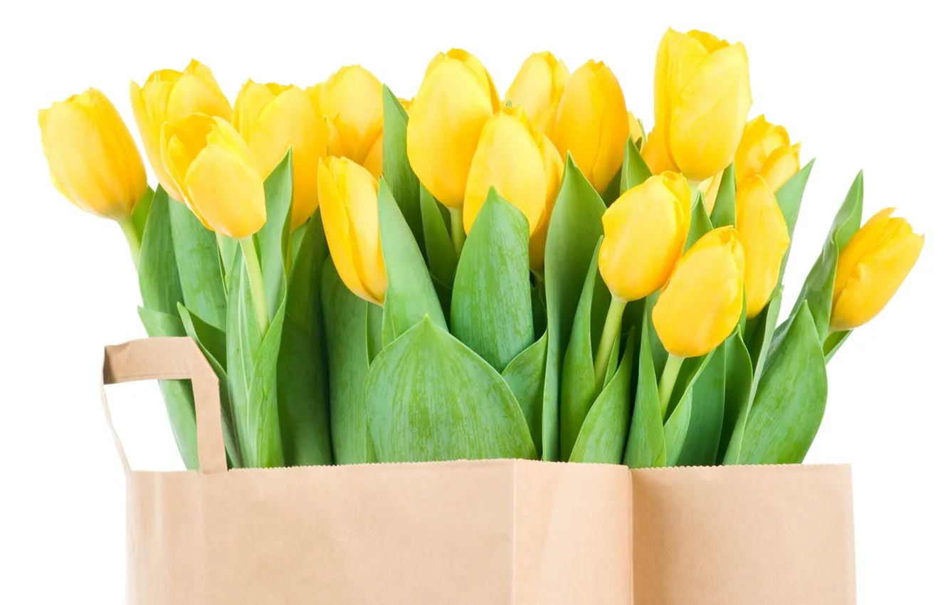 Photo wallpaper box, bouquet, tulips