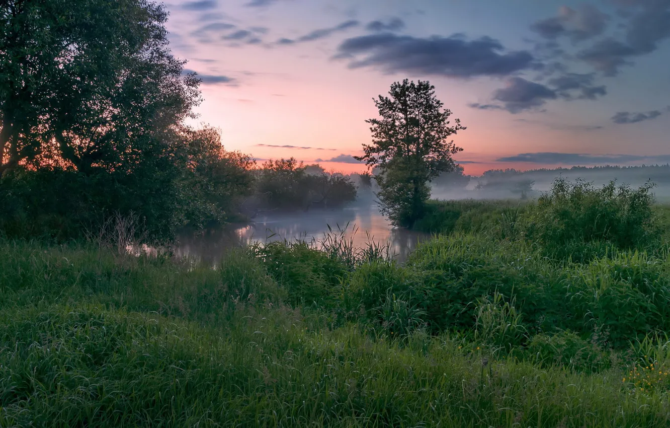 Photo wallpaper grass, trees, sunset, fog, river, the evening, Russia