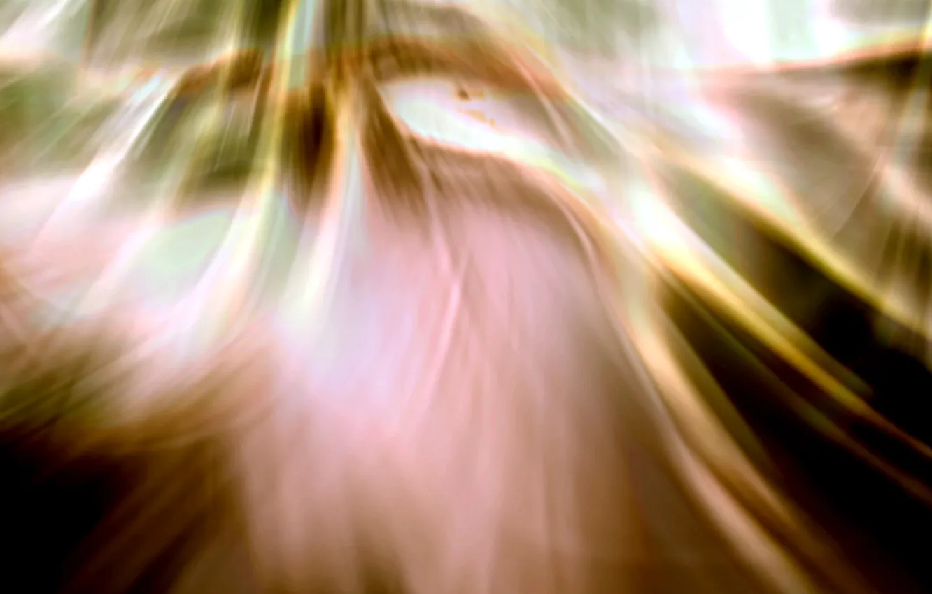 Photo wallpaper fantasy, nature, style