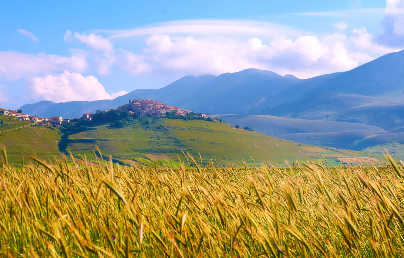 Photo wallpaper field, Italy, Tuscany