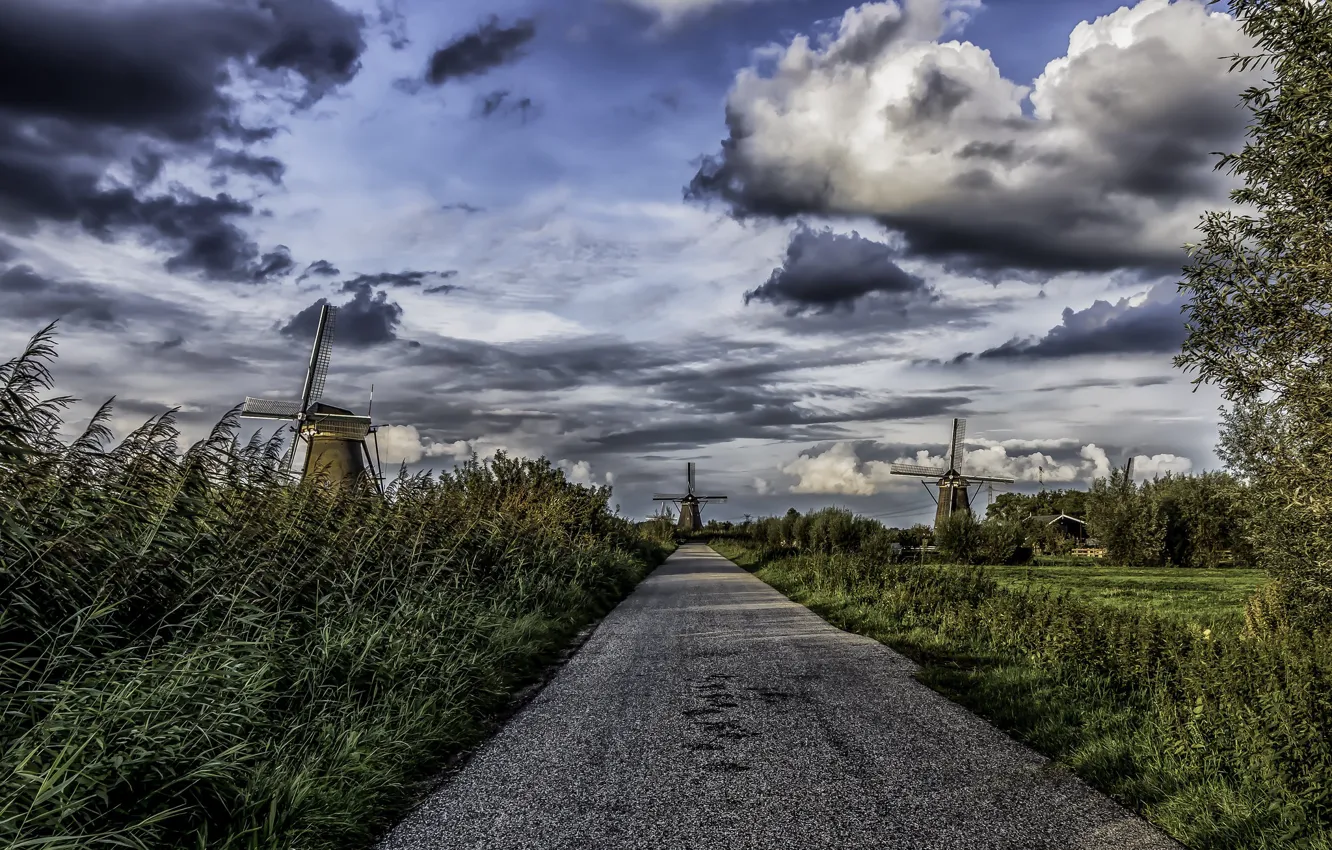 Photo wallpaper Nederland, Zuid-Holland, Kinderdijk