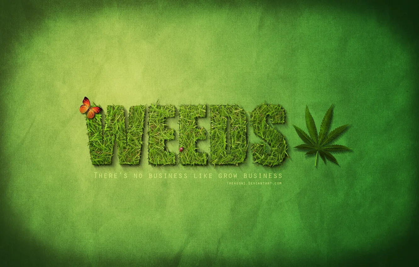 Photo wallpaper grass, smokes, cant