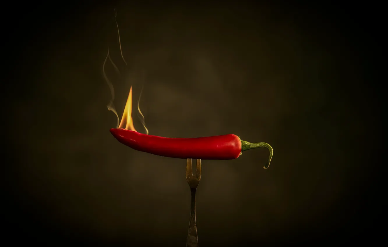 Photo wallpaper lights, pepper, plug