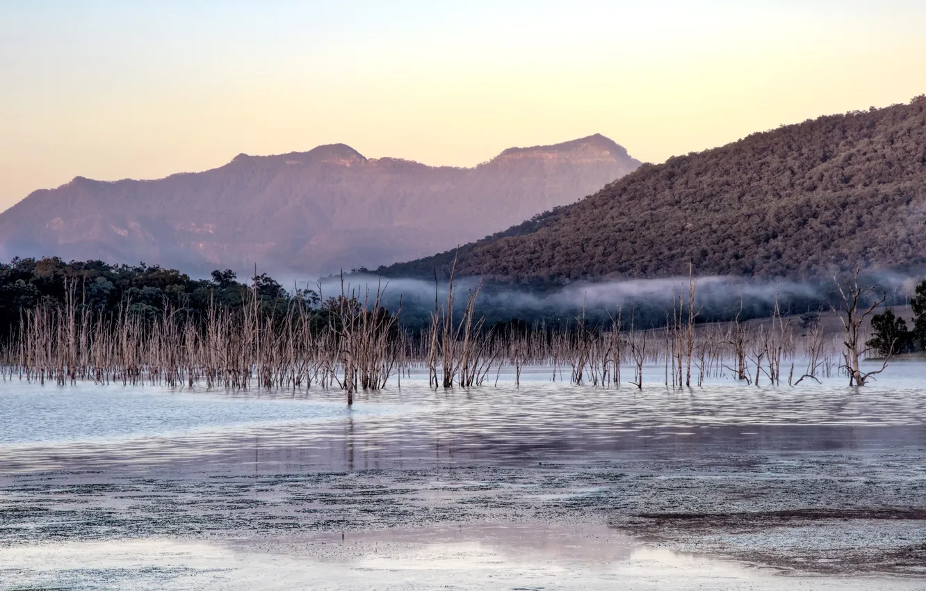 Photo wallpaper mountain, Morning, Lake Moogerah