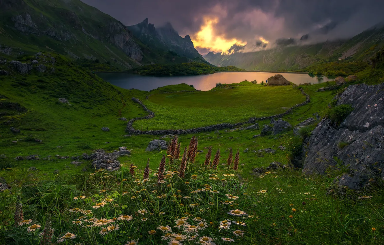 Photo wallpaper greens, summer, grass, clouds, flowers, mountains, lake, stones