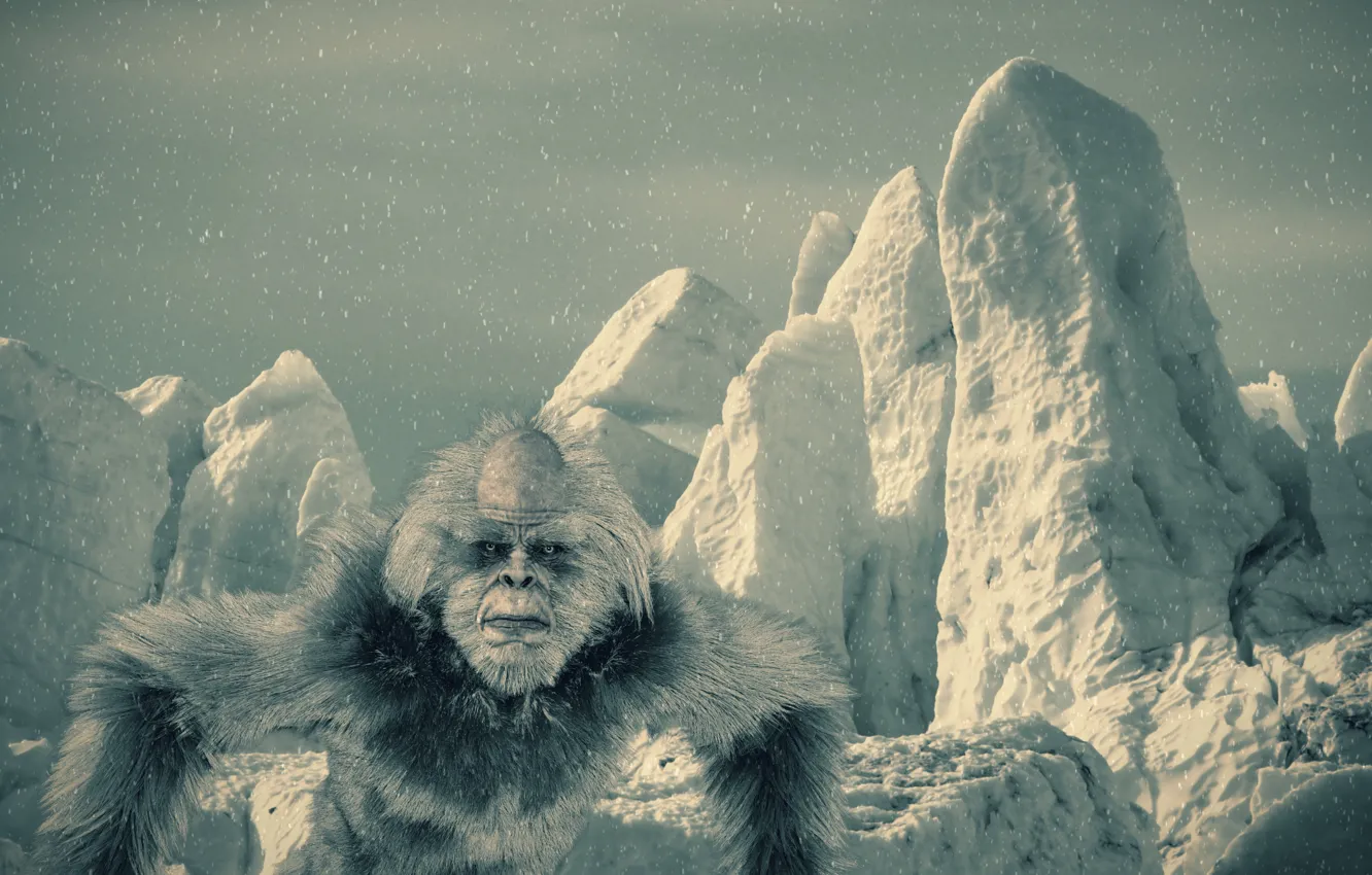 Photo wallpaper winter, mountains, Yeti, Bigfoot