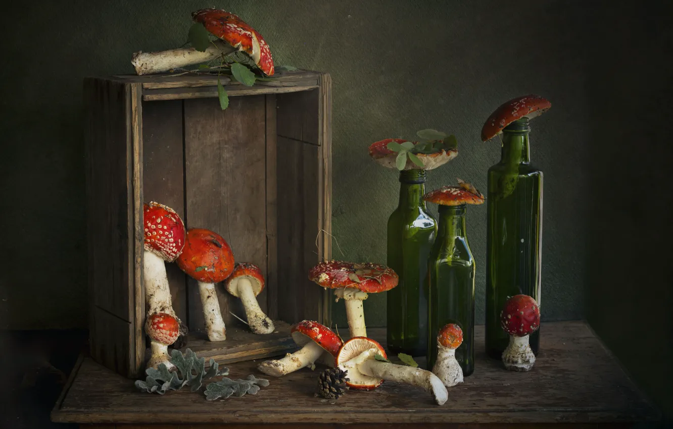 Photo wallpaper glass, table, mushrooms, bottle, mushroom, still life, box, bumps