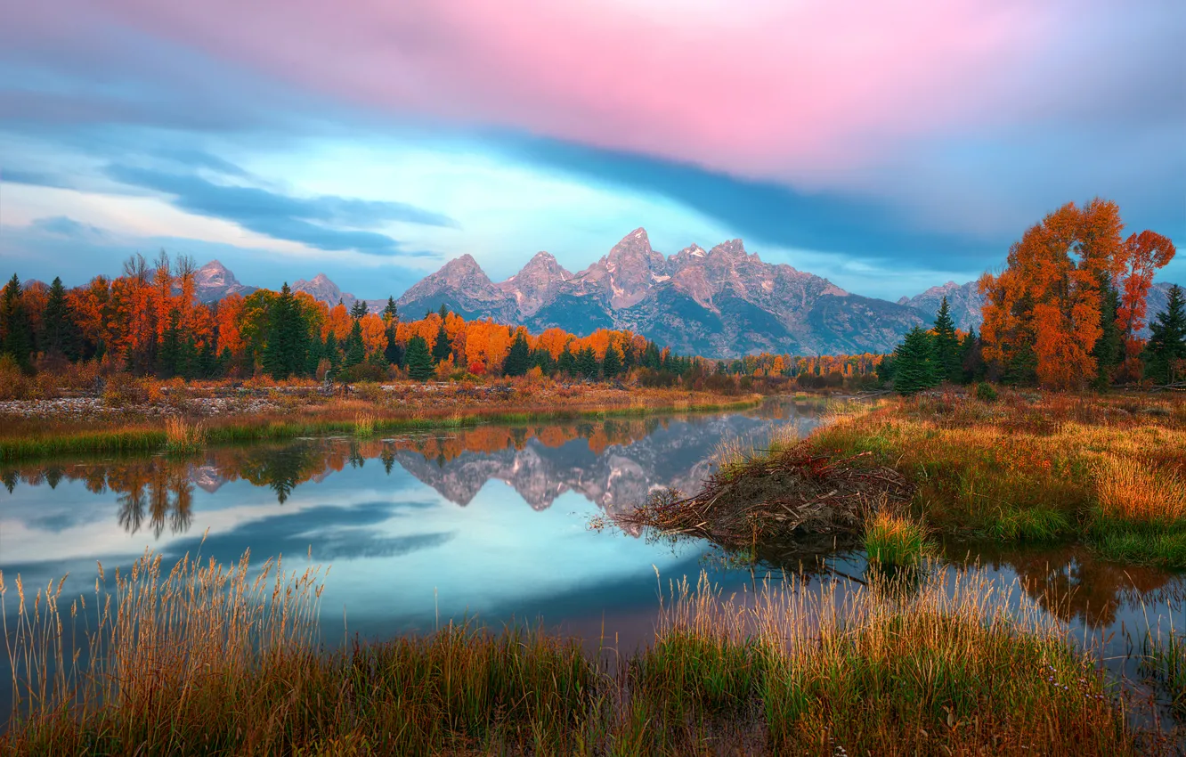 Photo wallpaper autumn, USA, Wyoming, Grand Teton national Park