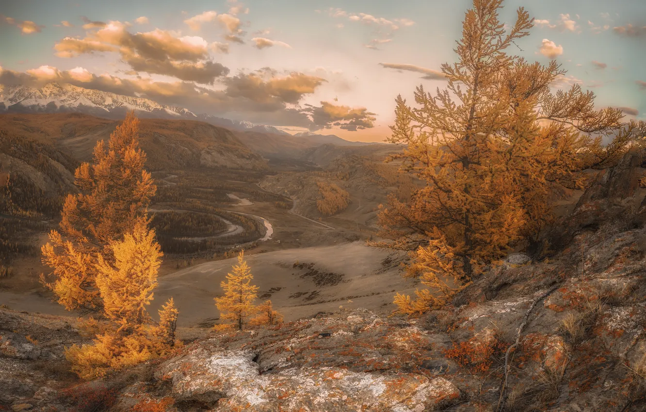 Photo wallpaper trees, autumn, mountains