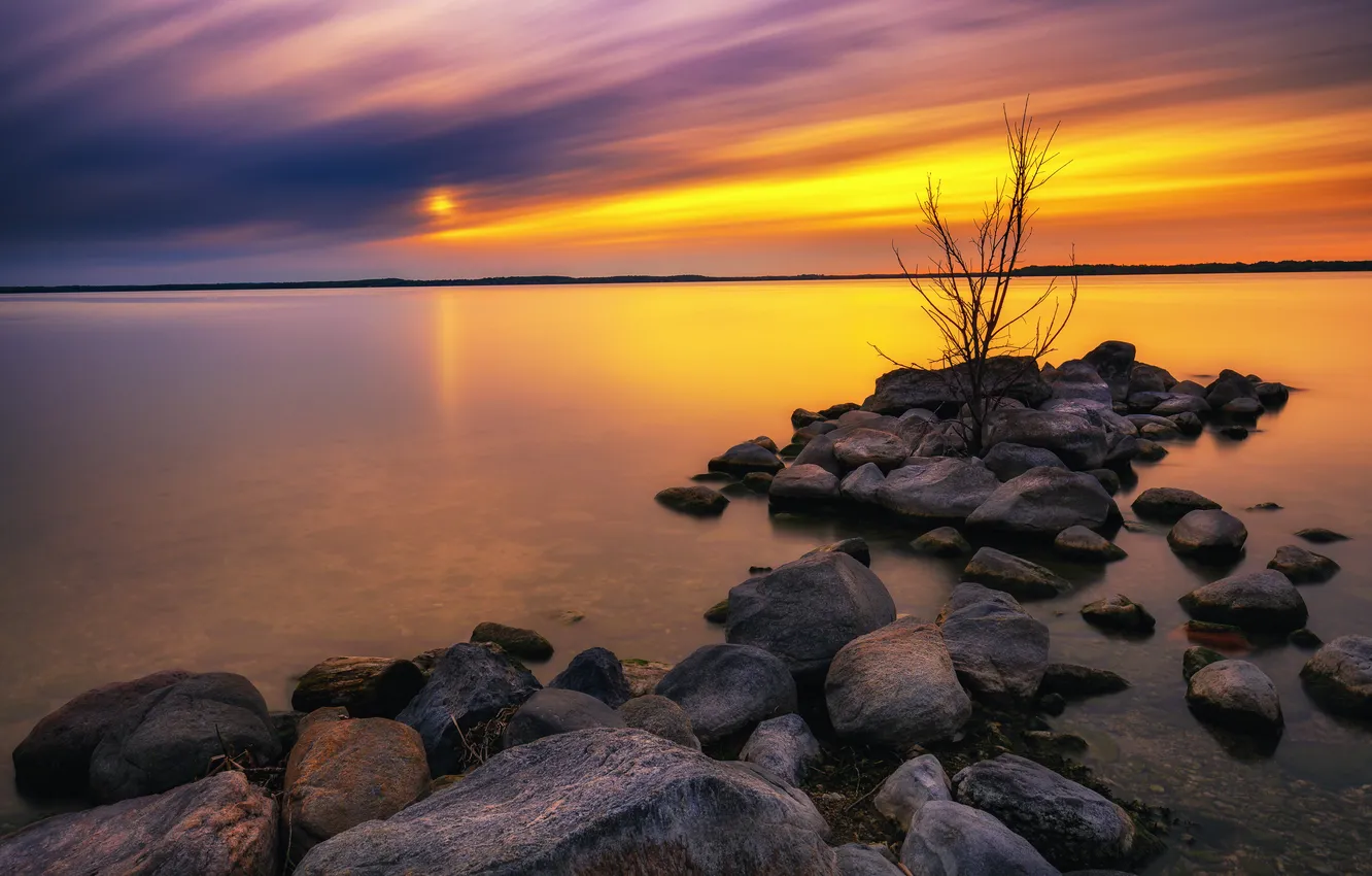 Photo wallpaper the sky, the sun, clouds, sunset, branches, lake, stones, shore
