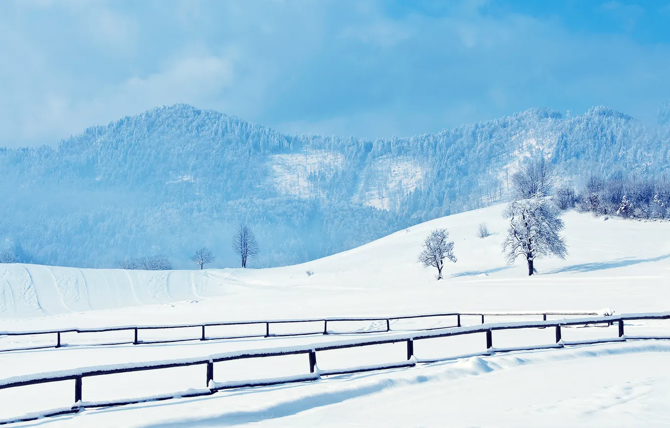 Photo wallpaper winter, road, snow, trees, traces, hills, railings