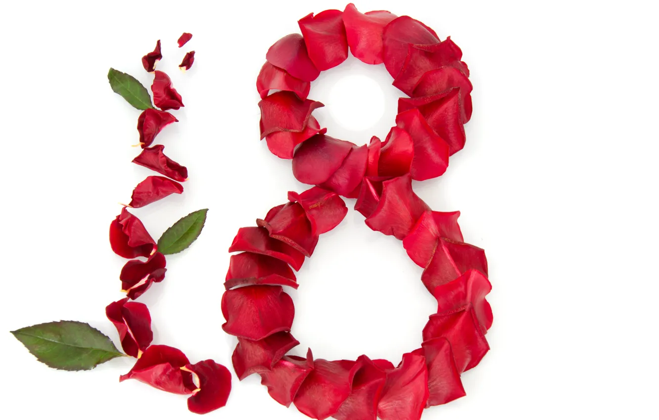 Photo wallpaper red, roses, petals, white background, leaves, March 8, congratulations, women's day