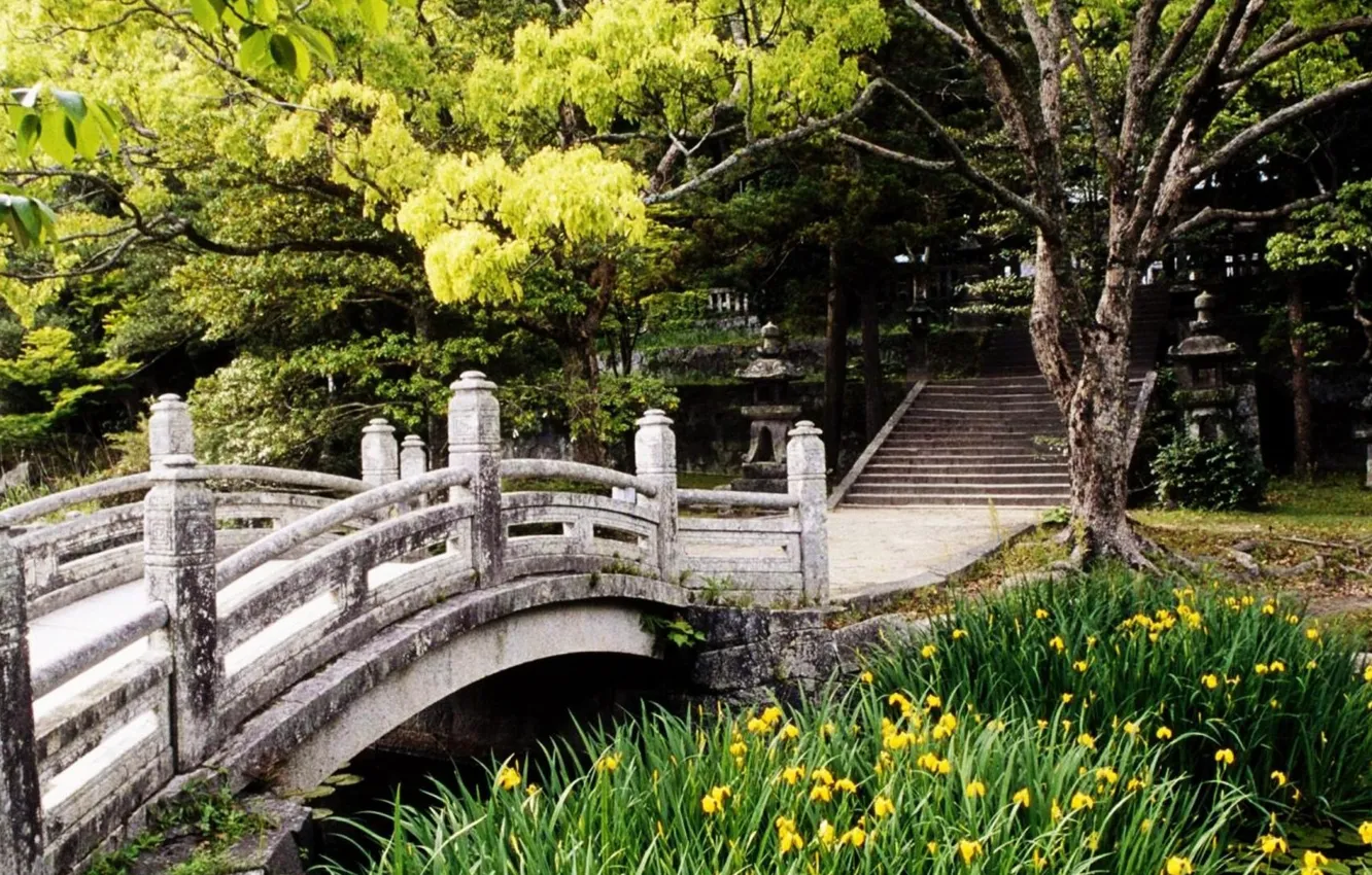 Photo wallpaper pond, Park, ladder, Japan, stone bridge
