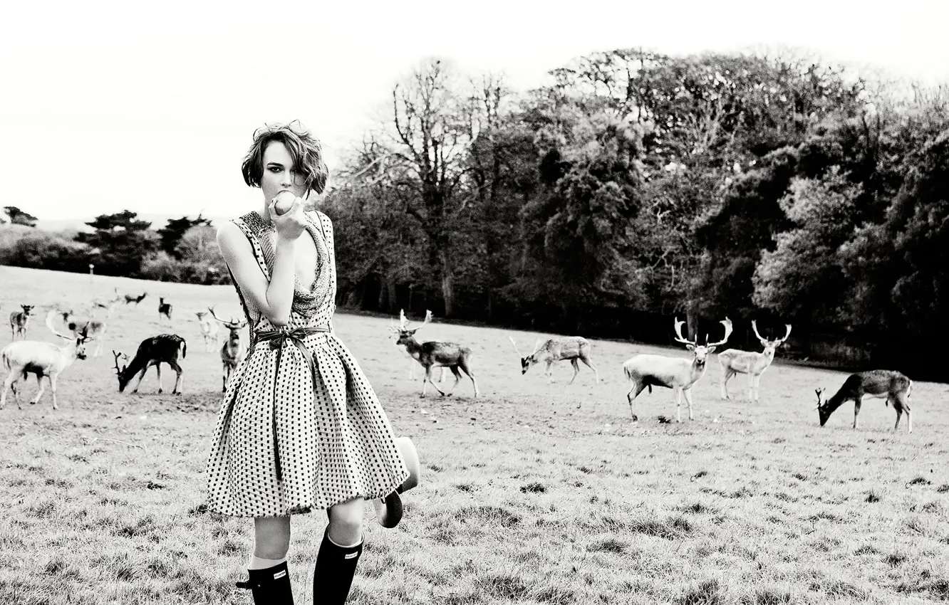 Photo wallpaper field, Keira Knightley, deer, Vogue