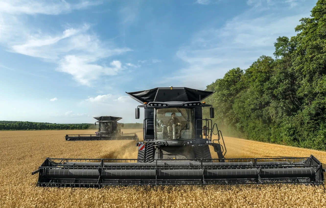 Photo wallpaper wheat, field, harvester