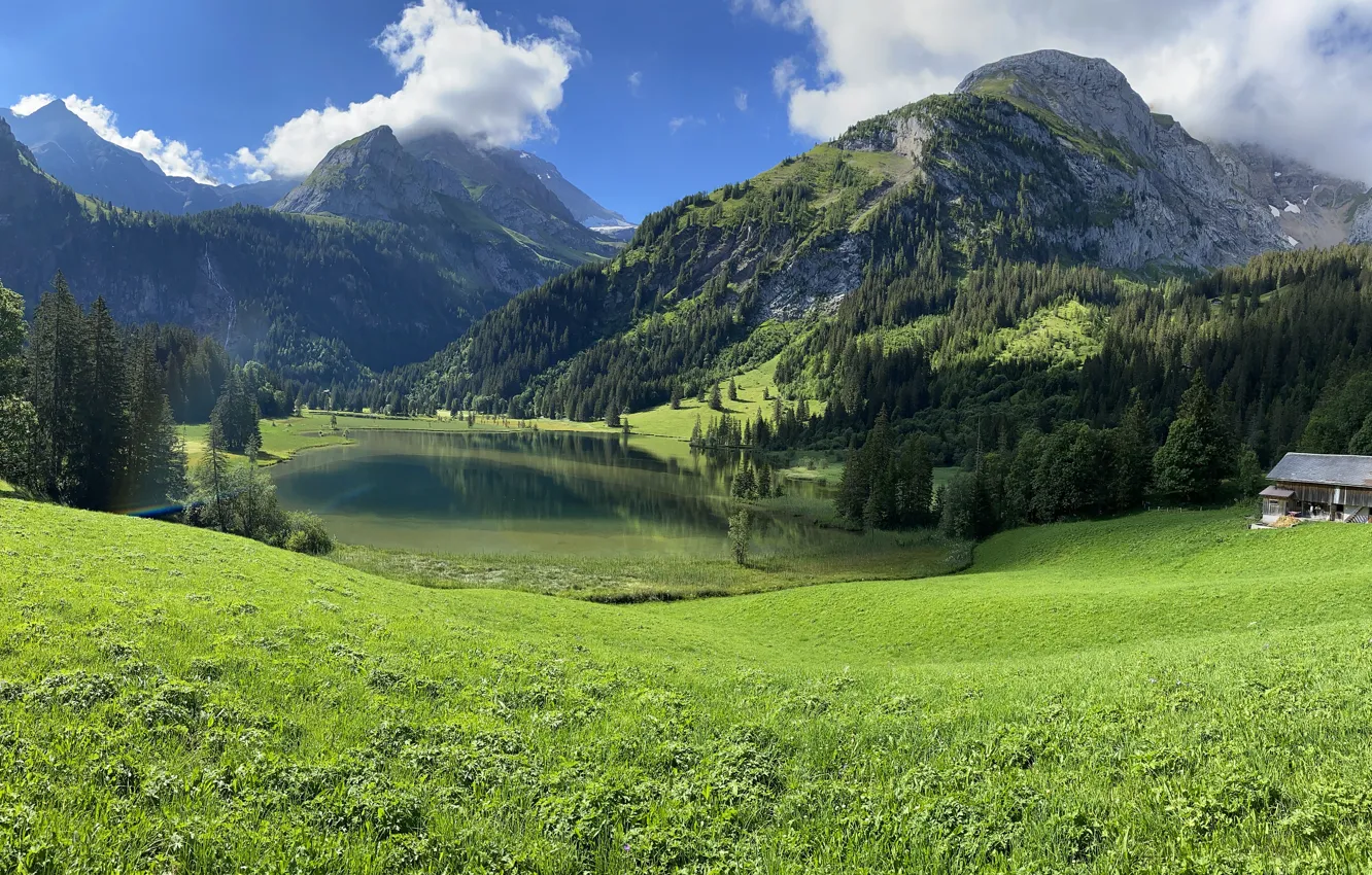 Photo wallpaper greens, forest, mountains, lake, shore, ate, Alps, meadow