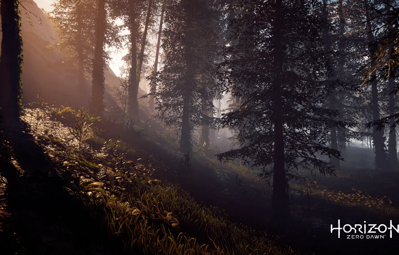 Photo wallpaper Playstation 4, Guerrilla Games, Horizon Zero Dawn