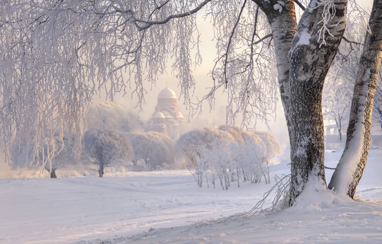 Photo wallpaper winter, frost, road, snow, trees, branches, nature, fog