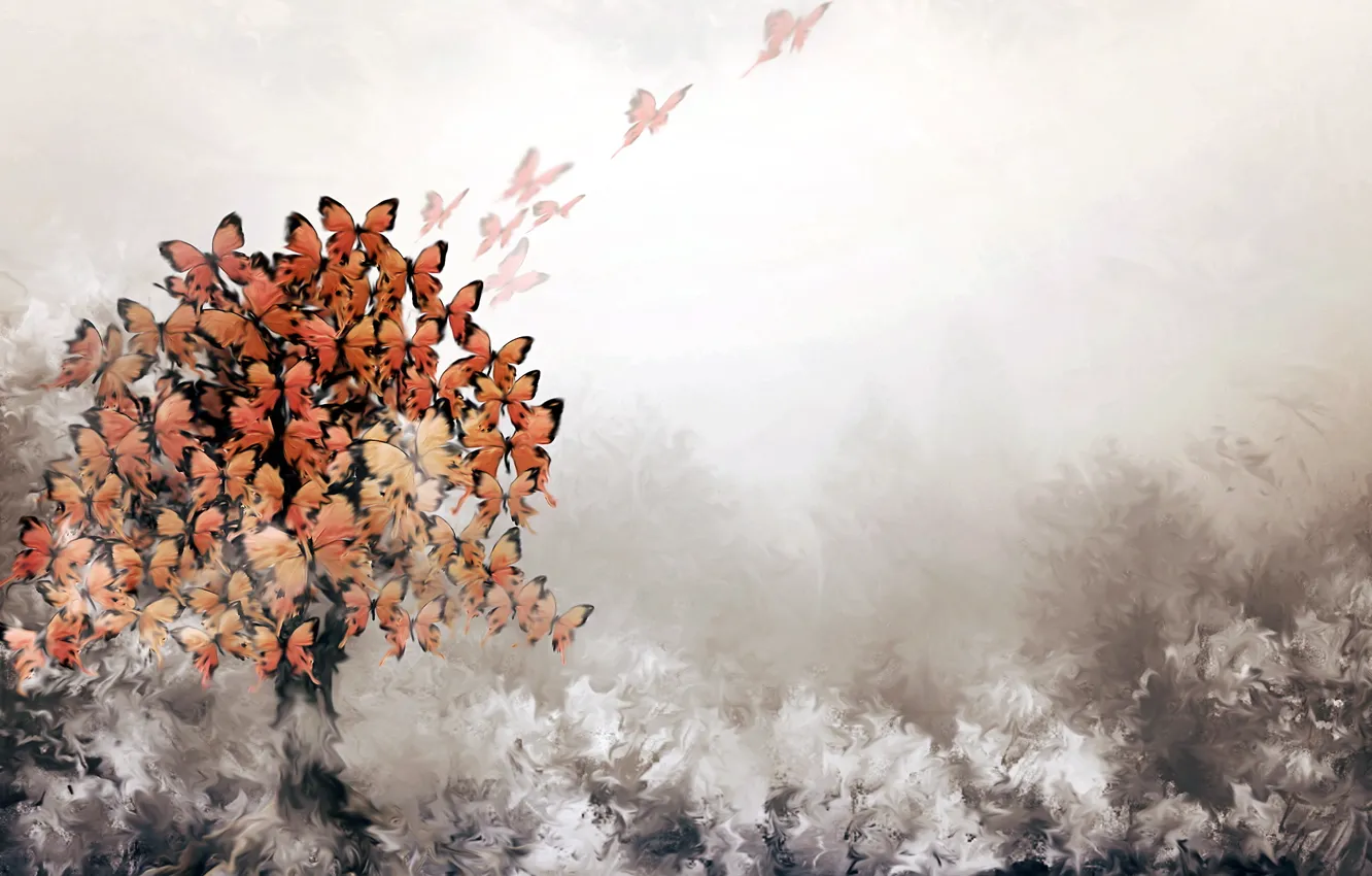 Photo wallpaper trees, background, butterfly