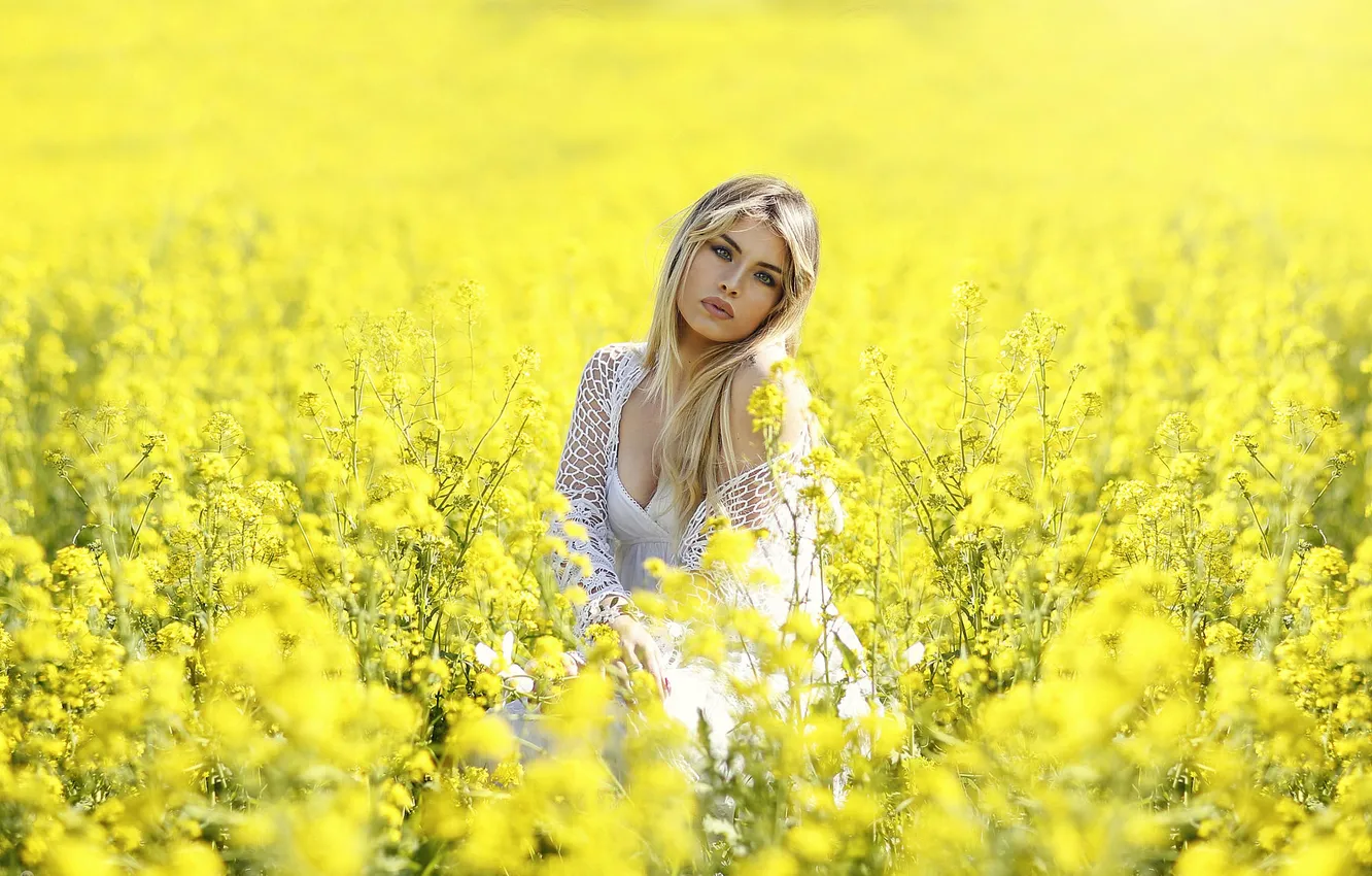 Photo wallpaper girl, yellow, view, model, Alessandro Di Cicco, Fields. Gold. Flowers
